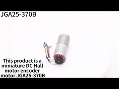 25mm DC-Gang-Motor