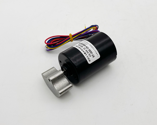 12v 4000rpm Bürstenloser Elektromotor mit hoher Geschwindigkeit BLDC 3650 OEM ODM